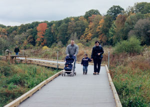 WetlandTrail2