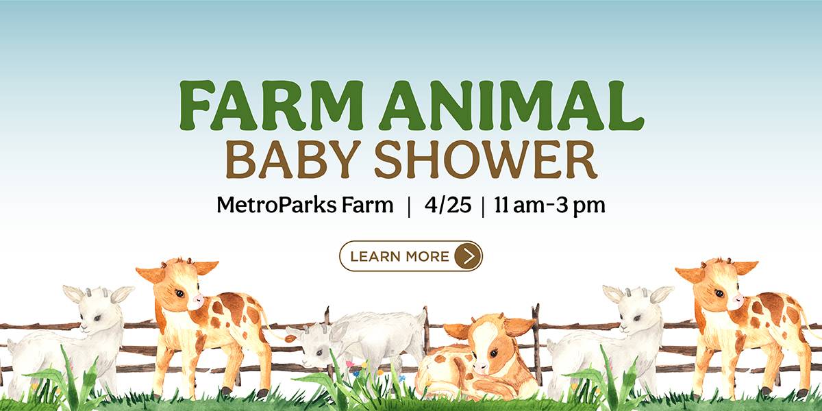 Farm Animal Baby Shower at MetroParks Farm is April 25 from 11 am - 3 pm. Click to learn more. Slider depicting farm animals
