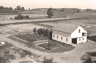 Historical photo of the farm