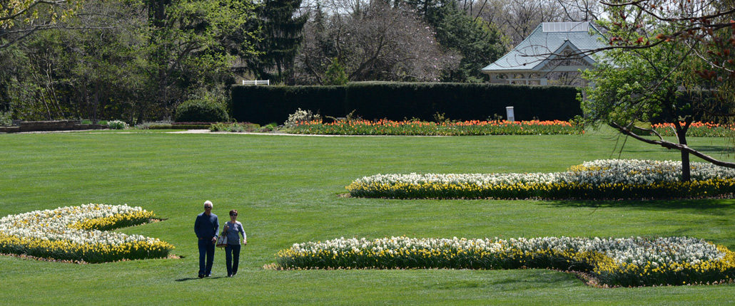 Couple walking past tulips