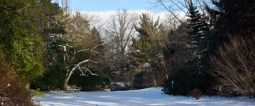 Snow covering the grounds at the gardens