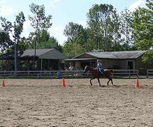 Girl riding horse in riding ring