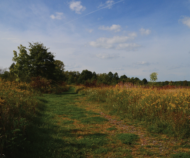 Photograph of Collier Preserve in the fall.