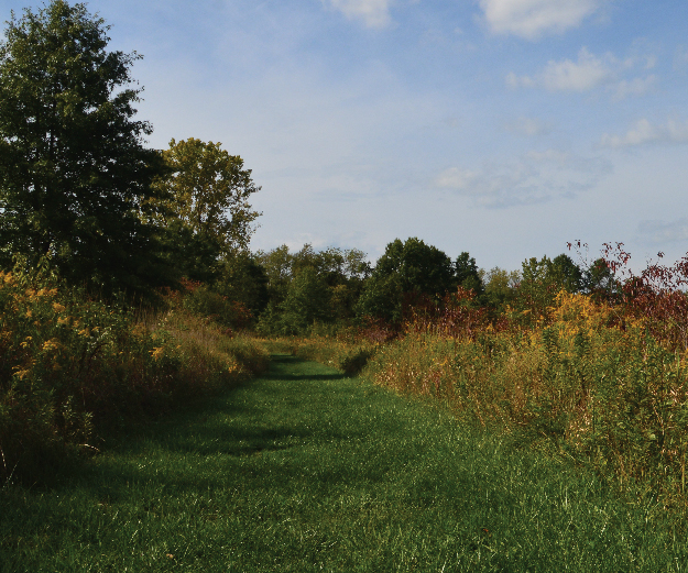 Photograph of Collier Preserve in the fall.
