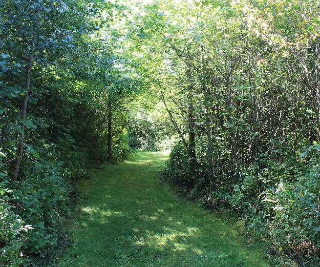 McGuffey Wildlife Preserve in Mill Creek MetroParks