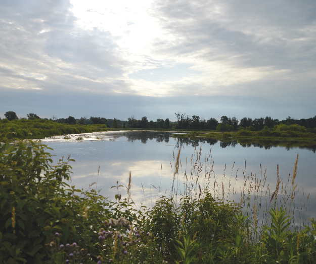 Photograph of Mill Creek Wildlife Sanctuary