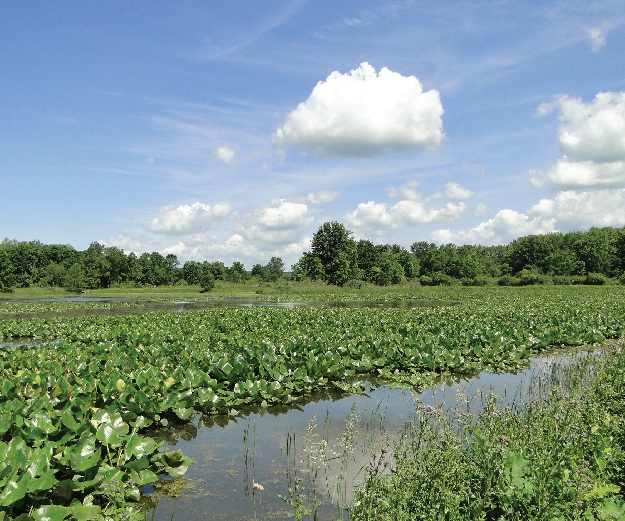 Photograph of Mill Creek Wildlife Sanctuary