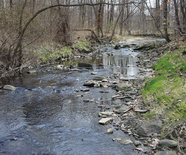 Sawmill Creek Preserve in Mill Creek MetroParks