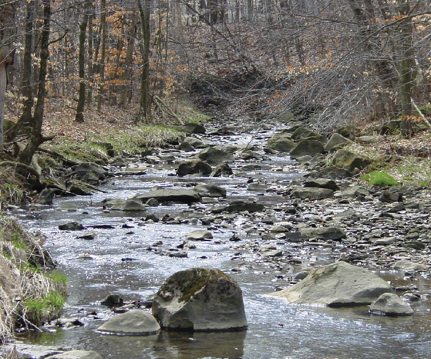 Sawmill Creek Preserve in Mill Creek MetroParks