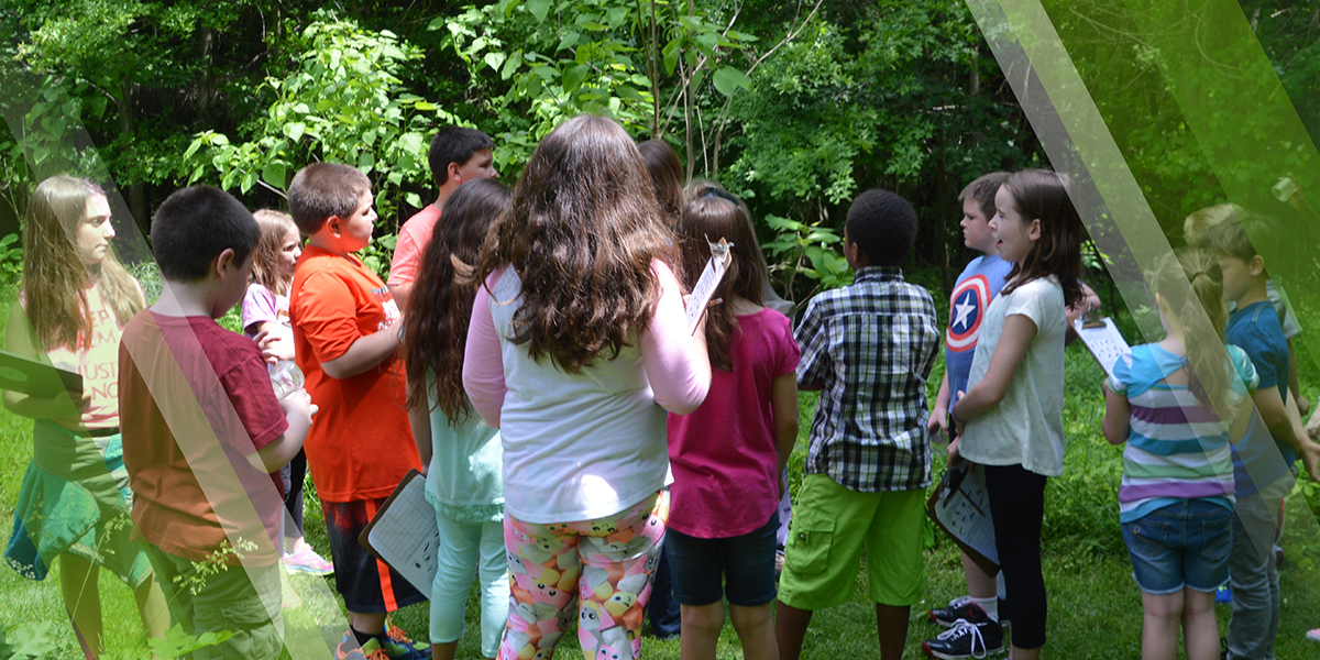 Summer Nature Camp Page Header showing a group of children participating in summer camp