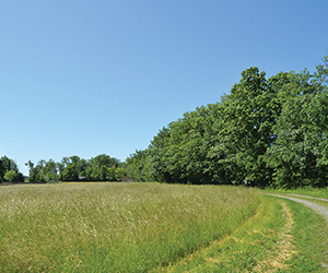 Vickers Nature Preserve in Mill Creek MetroParks
