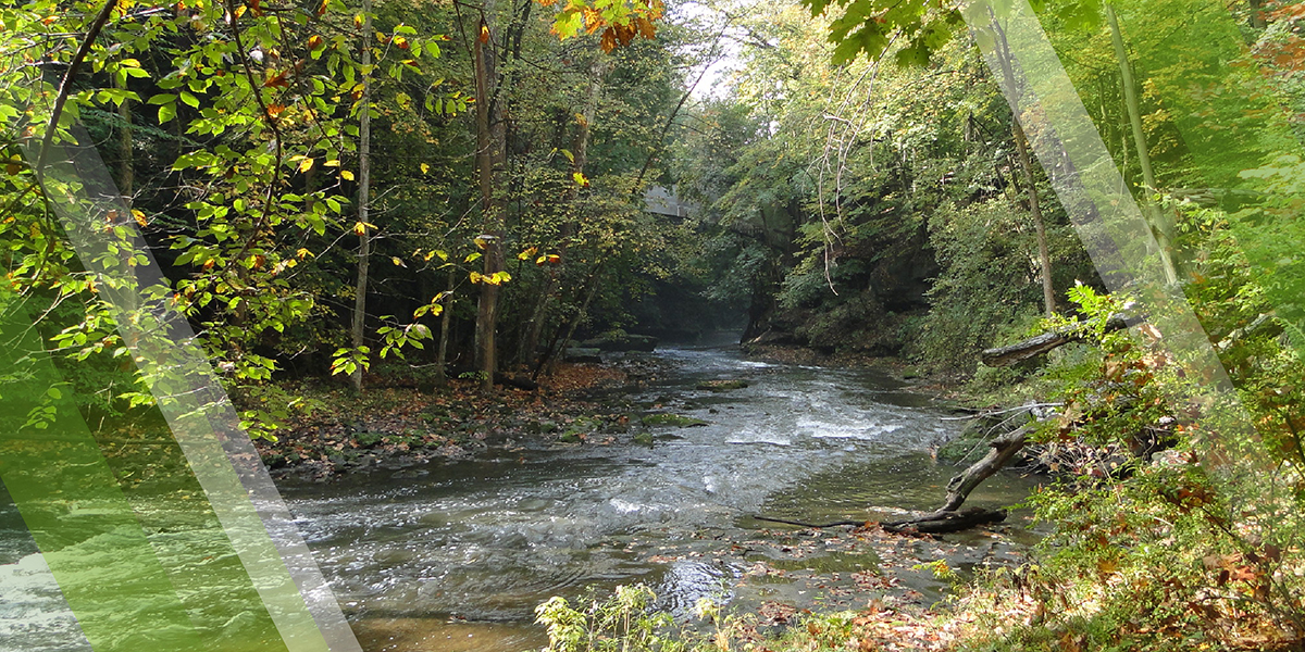 Annual Report Page Header depicting Mill Creek