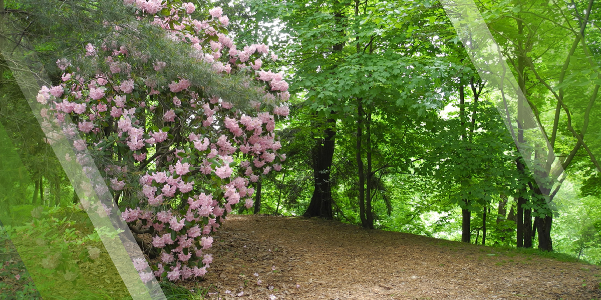 Auxiliary Police ProgramPage Header showing a trail in Mill Creek MetroParks