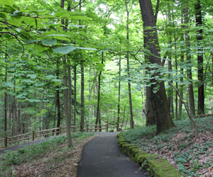 Axtmann Trail For All People in Mill Creek MetroParks