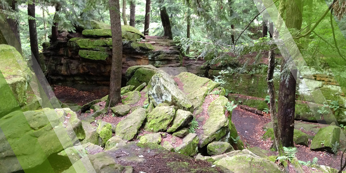 Bouldering Page Header depicting Bears Den Bouldering Area in Mill Creek MetroParks