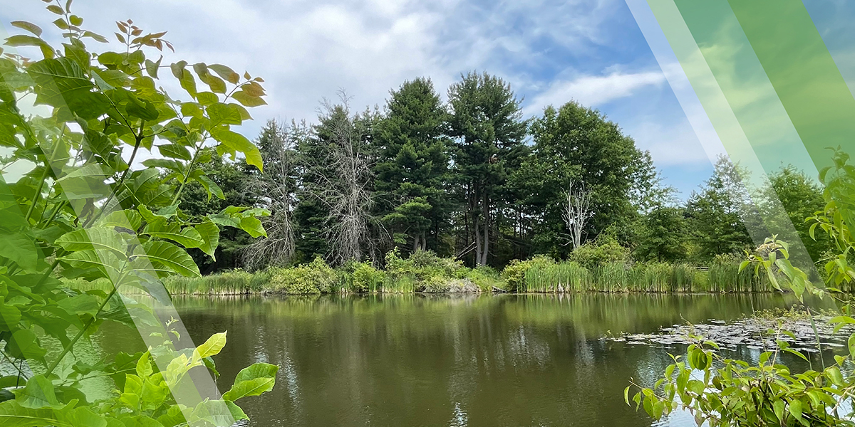 Citizens Advisory Committee Page Header showing the back pond located at MetroParks Farm in Mill Creek MetroParks