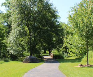 Davies Wetland Trail in Mill Creek MetroParks