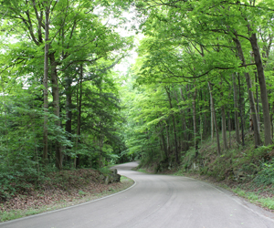 The East Cohasset Hike & Bike Trail in Mill Creek MetroParks