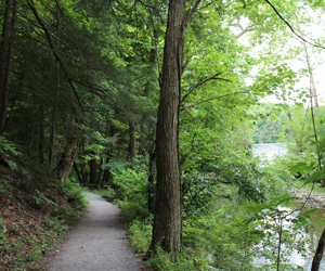 East Cohasset Trail in Mill Creek MetroParks