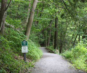 East Cohasset Trail in Mill Creek MetroParks