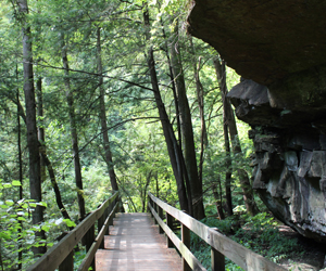 View of East Gorge Walk in the Summer, Mill Creek MetroParks