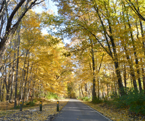 View of East Newport Hike & Bike Trail in Mill Creek MetroParks