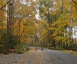 View of East Newport Hike & Bike Trail in Mill Creek MetroParks