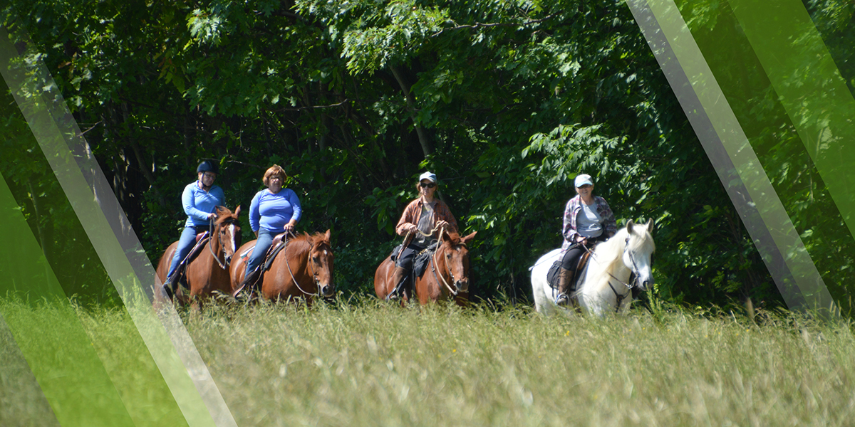 Equestrian Page Header depicting a group of people horse riding at Vickers Nature Preserve in Mill Creek MetroParks