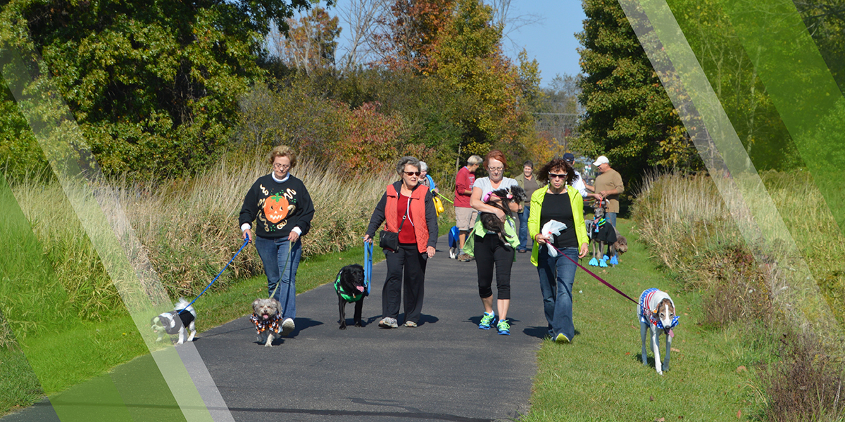 Recreation Clubs page header depicting a MetroMutts hike at Mill Creek MetroParks