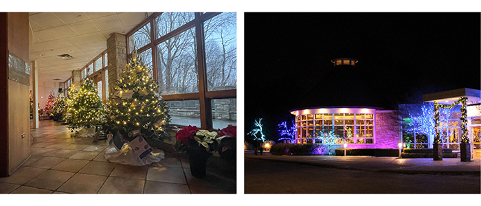 Photos from Frost & Lights held at Fellows Riverside Gardens in Mill Creek MetroParks-decorated holiday trees and the front of the Davis Center aglow with holiday lights