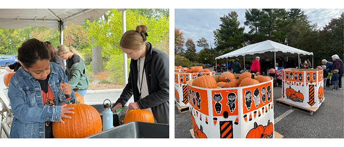 Photos from Pumpkin Carving and Pumpkin Walk held at Fellows Riverside Gardens in Mill Creek MetroParks-girls carving pumpkins and a view of the un-carved pumpkins and guests under a tent carving