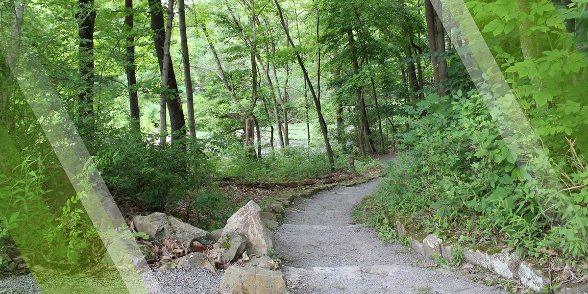 Trail Challenge Page Header showing one of many trails in Mill Creek MetroParks