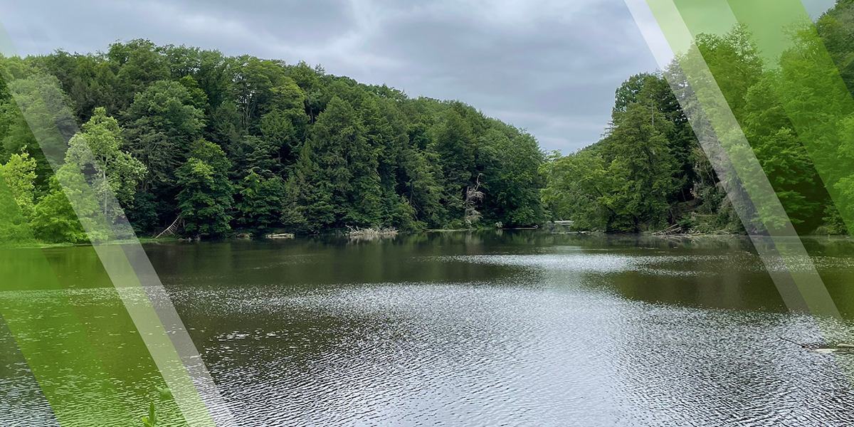 Water Quality Page Header depicting Lake Cohasset