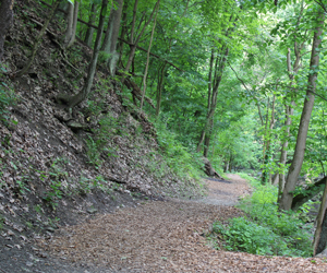 Trail in Yellow Creek Park, Mill Creek MetroParks