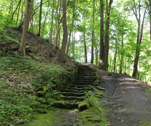 Trail in Yellow Creek Park, Mill Creek MetroParks