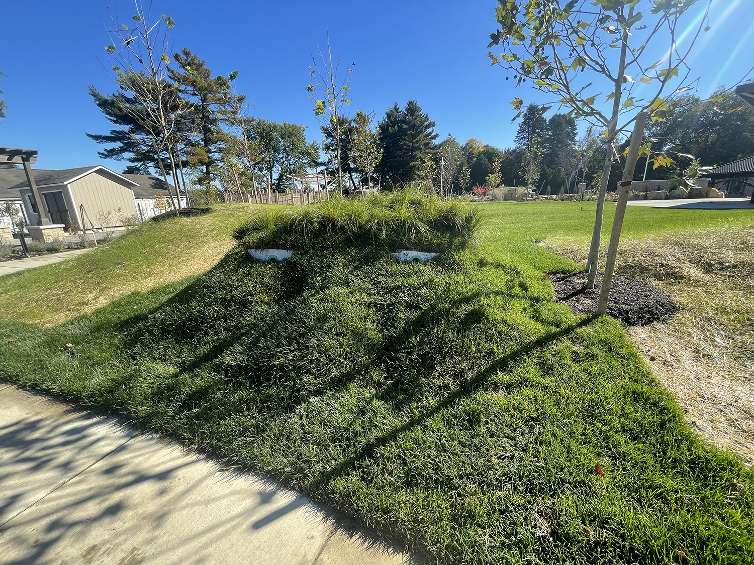 IMG_6440-adj Anthony J. Fox Family Foundation Children's Garden Troll Mound